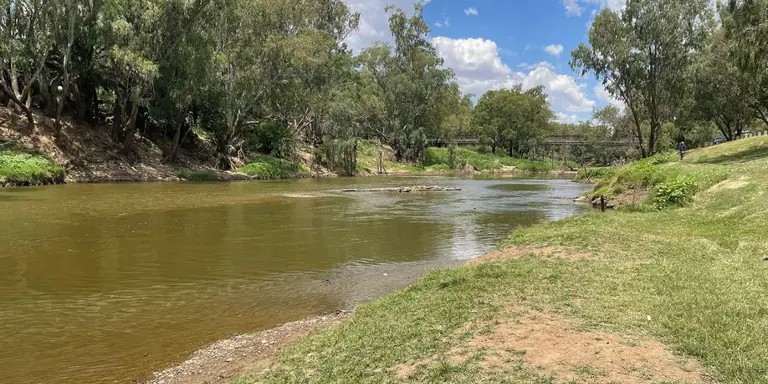 Coalition water taskforce targets Basin buybacks
