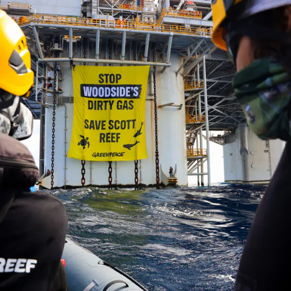 Environmental Activists in Custody after Scott Reef Protest