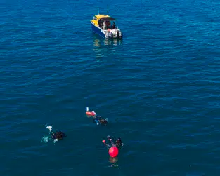 Australia’s oldest underwater archaeology reveals ancient life within a lost landscape
