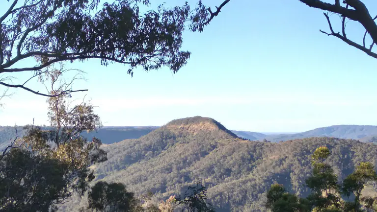MT DAVID NAMING