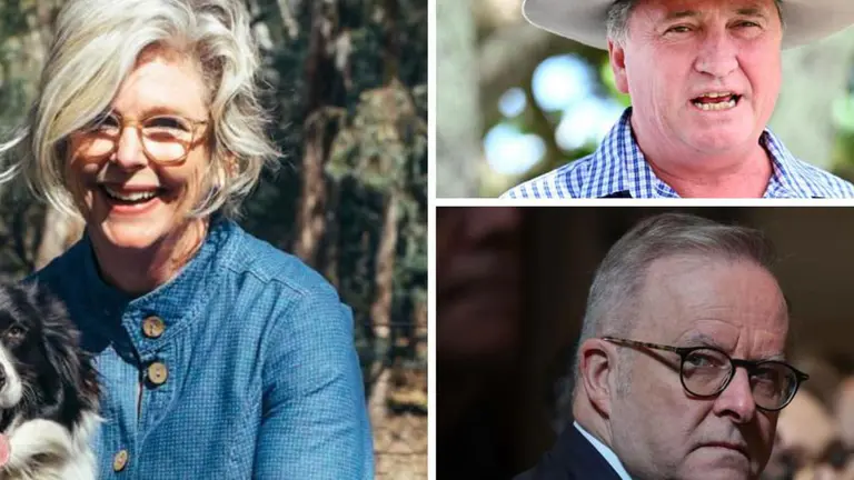 One Nation MP Barnaby Joyce rips into Anthony Albanese over ‘dirt file’ into Helen Haines