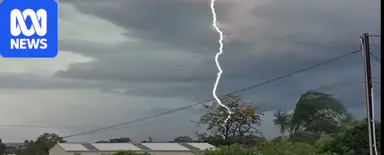 Car crushed by tree limb, lightning and 98 km winds in SA