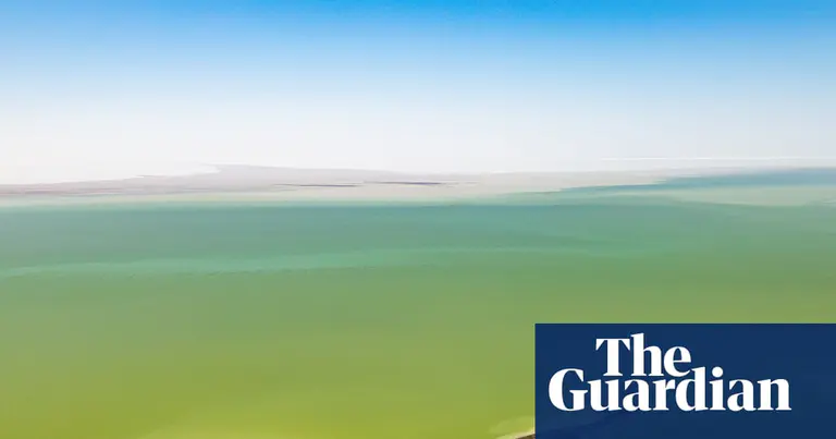 Outback kaleidoscope: Australia’s fabled desert lake bursts to life in rare sight