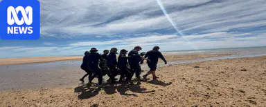 Rescuers praised after hauling young dugong to safety