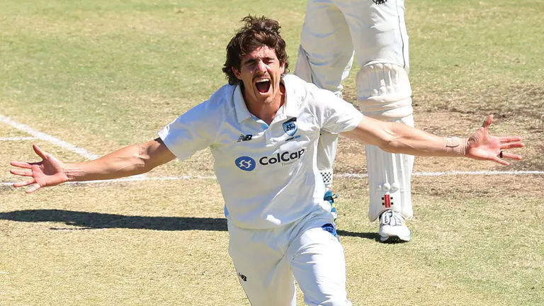 Quicks continue NSW stranglehold over WA on day two