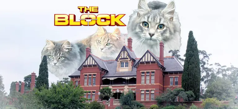 《The Block》新季遭遇意外问题