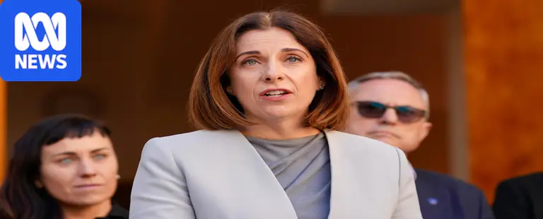 Live: Shoebridge says Greens taking allegations against Senator Steele-John 'incredibly seriously'