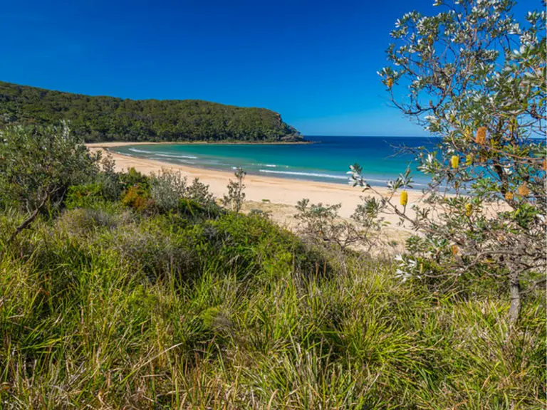Woman drowns after being hit by wave while rock fishing