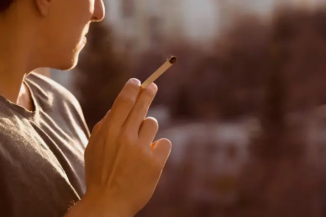 Millions of cigarettes seized in crackdown