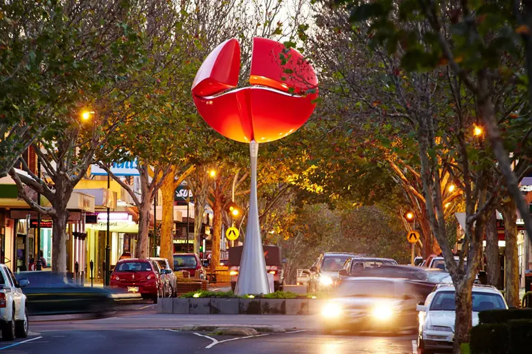 Southern Grampians Shire Council(사우던 그램피언스 셔 카운슬), 햄릴턴 CBD 재개발 2·3단계의 나무 제거 승인