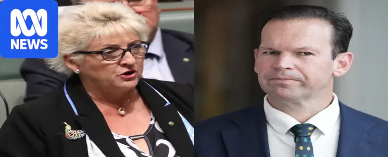 Nationals leader set to attempt switch to lower house