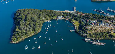 Celebrate 100 years of Balls Head and Berry Island Reserves