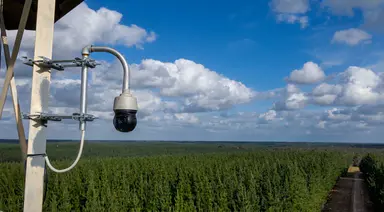 Victoria to add 11 AI-powered cameras to detect bushfires earlier