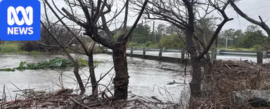 SES respond to hundreds of callouts as flash floods hit south-east Queensland