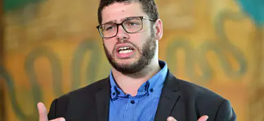 'Allegations of allegations': Greens senator takes leave amid misconduct investigation