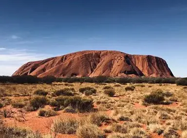 Anangu Traditional Owners and scientists join forces to understand mass plant dieback at Uluru