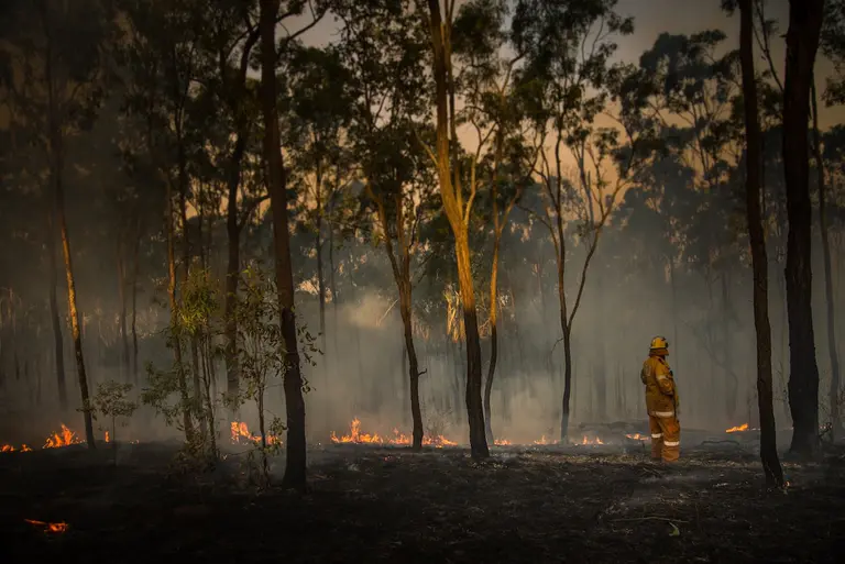 AI cameras expand bushfire detection network
