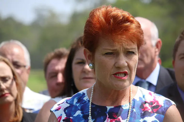 The corporate forces bankrolling One Nation's ‘anti-establishment’ surge
