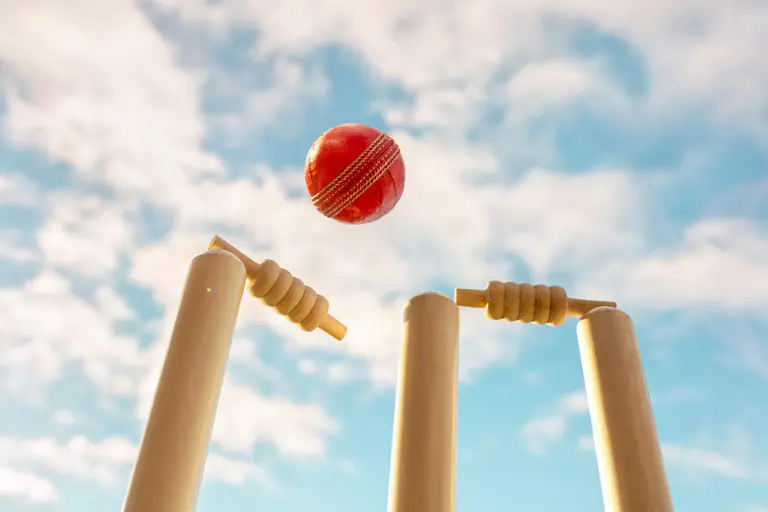 Cricket season underway