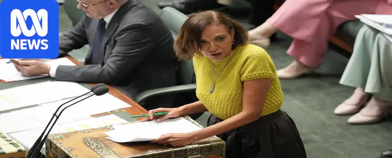 Anne Aly accuses Liberal MP of racism after 'stoning' comment