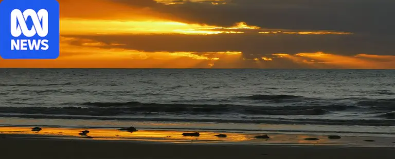 Queensland battles dry spring except in far north