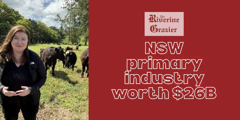 NSW Farmers Deliver Record $26 Billion Result as Producers Drive State Ag Boom
