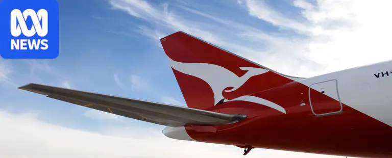 Reports of bed bugs on Perth to Rome Qantas flight prompt warning