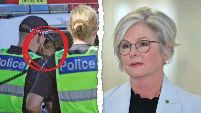 Driver who allegedly rammed independent MP Helen Haines identified as 43yo man Brendan Nugent