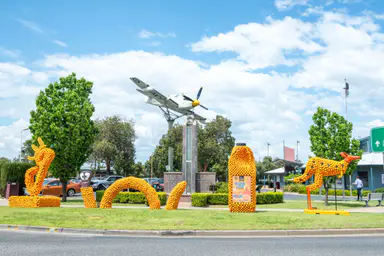 Things to do in the Riverina this week (9 – 15 October)