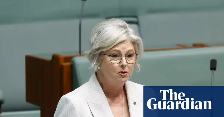 ‘Deeply appalled’: politicians condemn alleged attack after independent MP Helen Haines critically injured