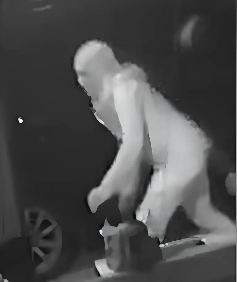 CCTV released after terrifying alleged Kooringal home invasion