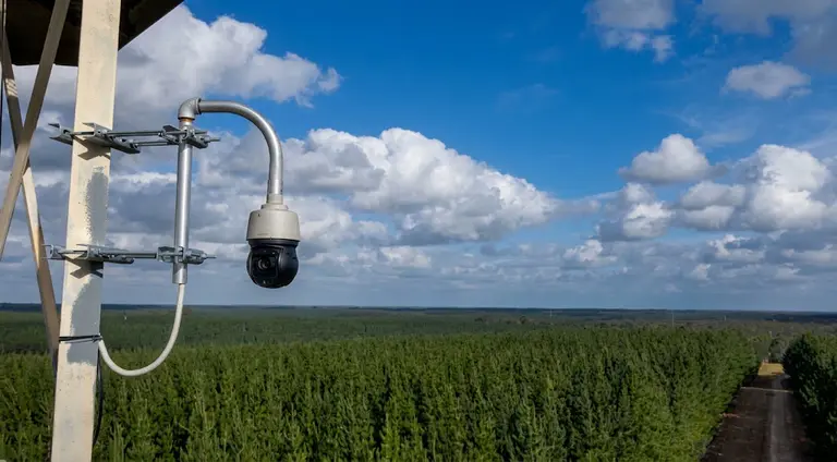 Victoria to add 11 AI-powered cameras to detect bushfires earlier