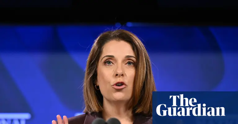 ‘Manosphere’ podcasts and moon-landing conspiracy theories to remain online under new laws, Wells says