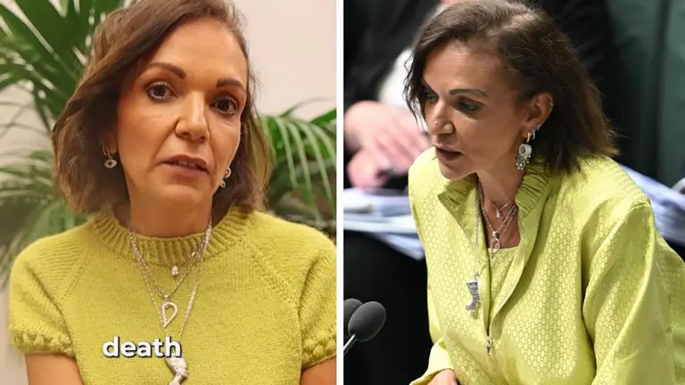 Labor MP Anne Aly reveals 19 death threats after parliamentary stoning remark