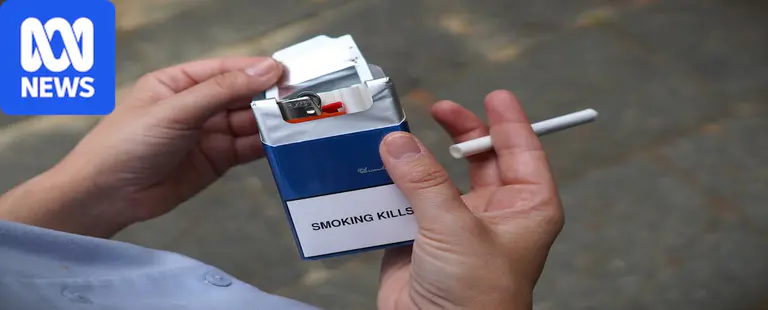 Landlords could be jailed over illicit tobacco in SA crackdown
