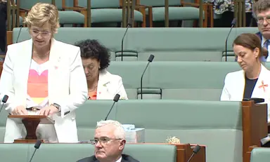 A cockatoo on an empty seat and a crossbench honouring Helen Haines. Parliament resumes