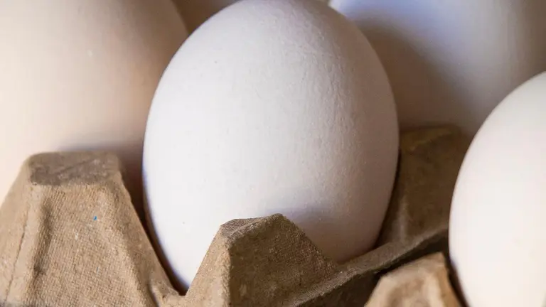 ‘Extremely serious’: ACCC takes major Australian egg suppliers to court over alleged cartel conduct