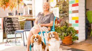 Cute country Cavaliers, Daisy and Poppy
