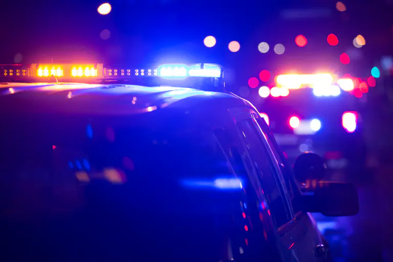 Police scan more than 15,000 people for weapons in Far North