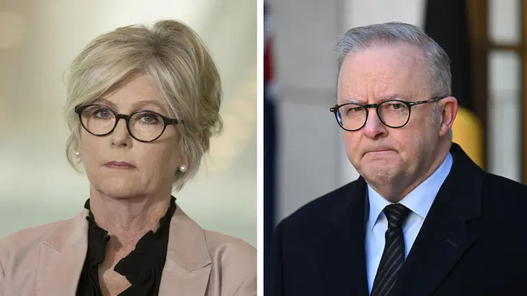 Helen Haines attack: Anthony Albanese confirms suspect in custody as counter-terrorism team activated