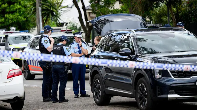 Gunman on the run arrested after stolen car torched