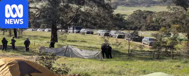 Two arrested as protests reignite over tree removal for Victorian highway