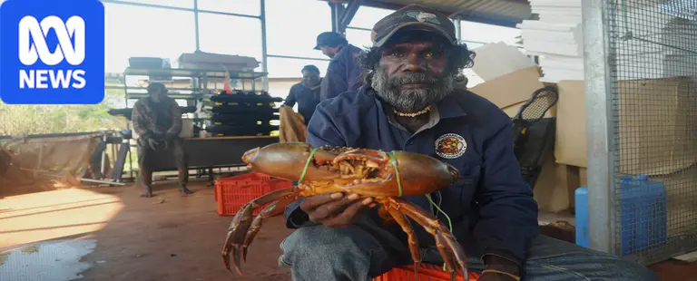 Fishermen racing crocs for crabs in Wadeye as new industry emerges