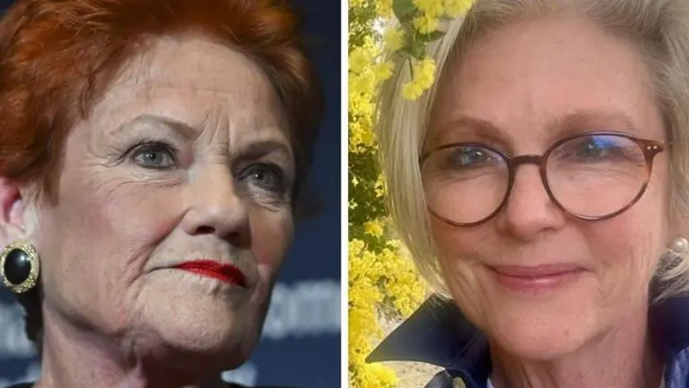 One Nation leader Pauline Hanson claims censorship as cartoons mocking fellow MPs cop criticism