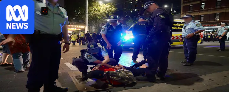 Why elderly couple were pepper sprayed at Sydney protest to be scrutinised