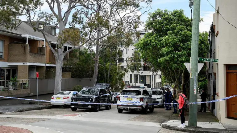 Man armed with gun flees after stolen car torched