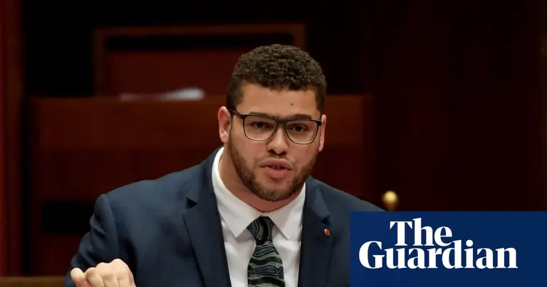 Greens senator Jordon Steele-John takes leave amid investigation into complaints