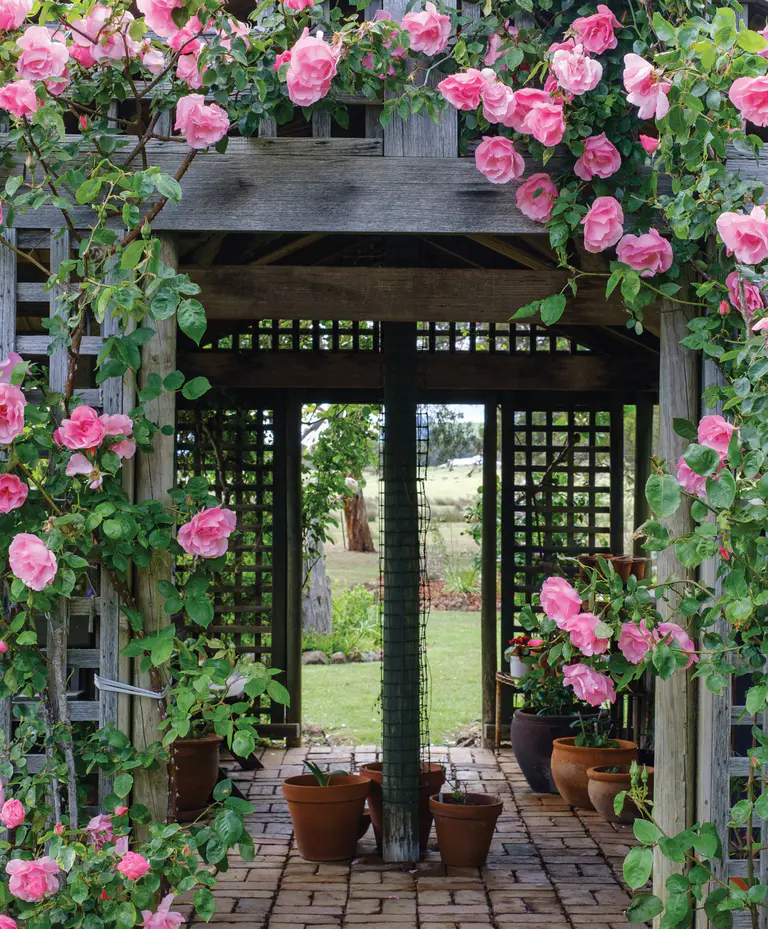 Creswick Garden Lovers