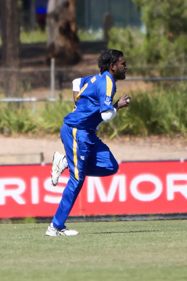 Lions strong performance