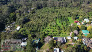 Appeals lodged over Macdonnell Road and Kidd Street proposals